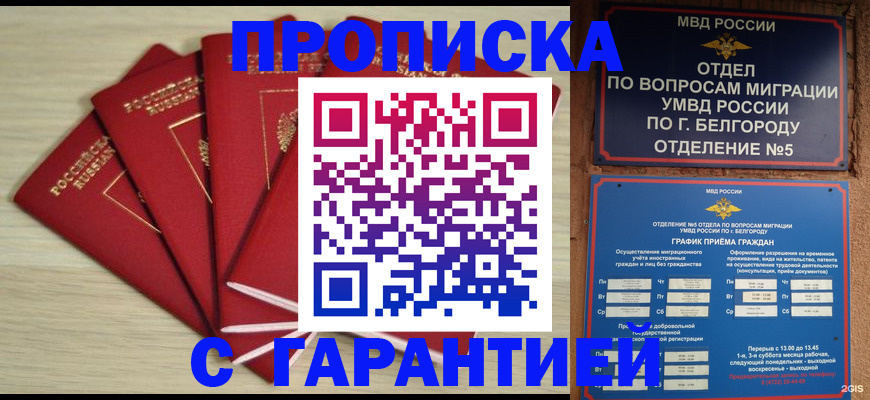 миграционный учет в Архангельской области